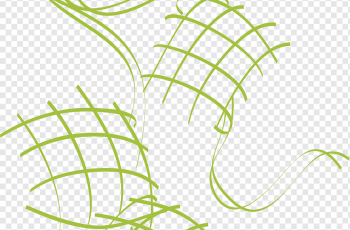 Image from pngwing.com